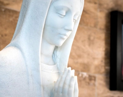 A importância de amar a Virgem Maria “na saúde e na doença"